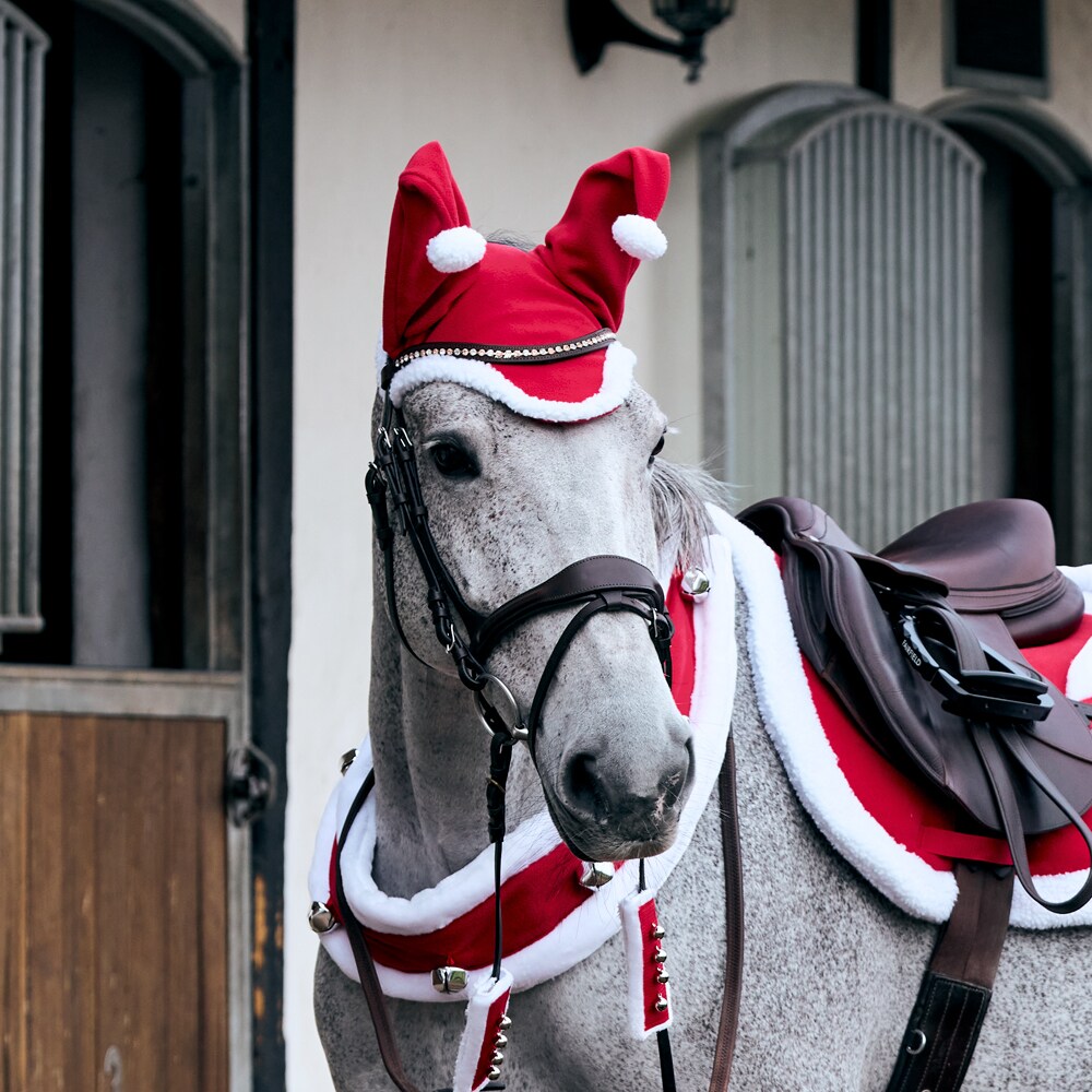 Tonttulakki Rudolf CRW H ks