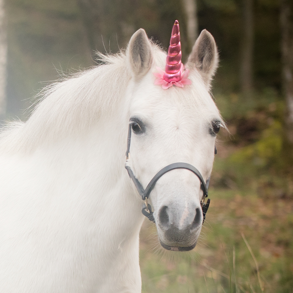 Solki Unicorn